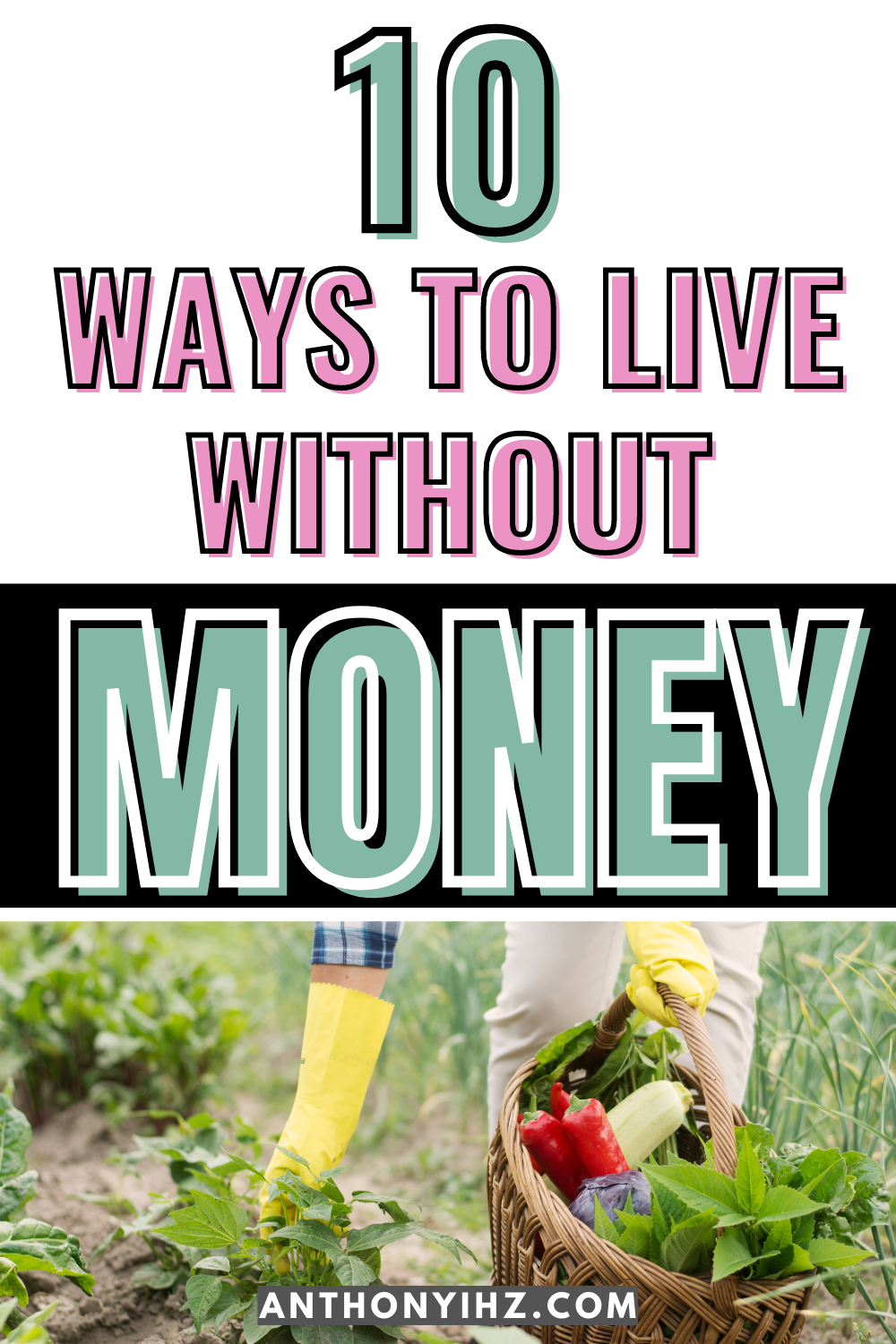 living without money essay