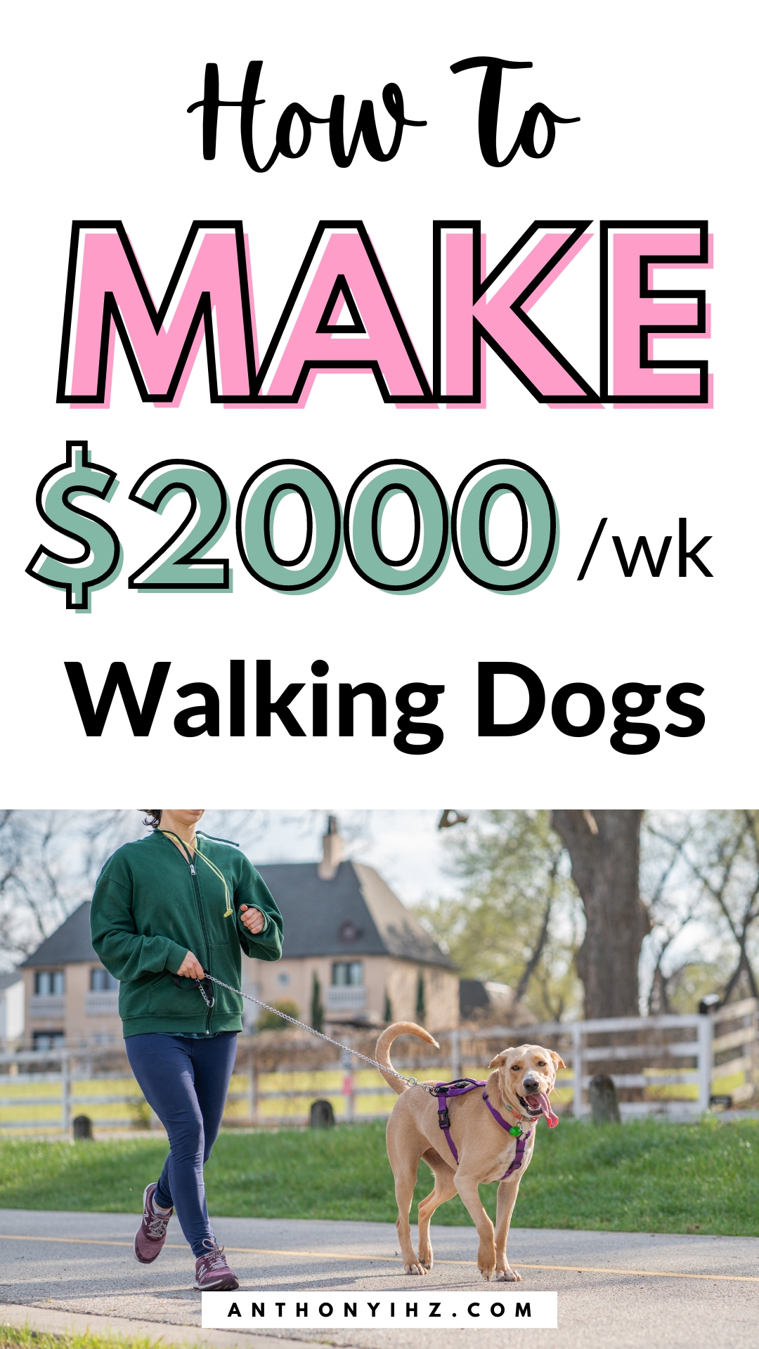 dog walking jobs